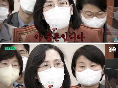 태풍 대비를 위한 대책 중 하나