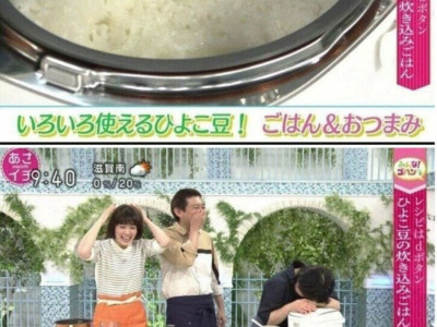 일본 아침 방송 귀여운 대참사