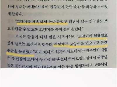 고양이를 처음 본 원시부족의 반응 ㅋㅋ