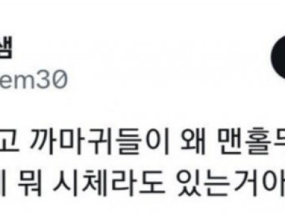 태풍오면 까마귀가 맨홀에 모여있는 이유