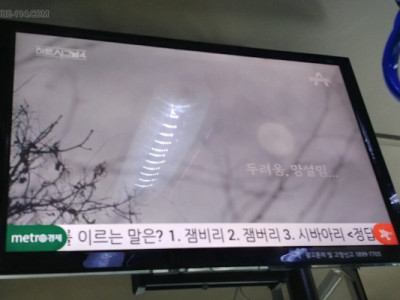 잼버리로 세무조사 받을 것 같은 서울버스 광고업체.jpg