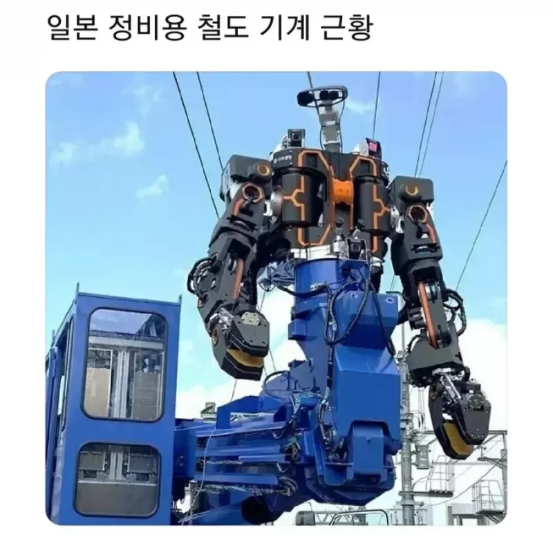 16918226614524.webp