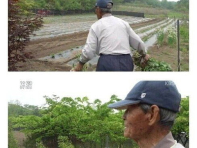 99세 할아버지의 하루 일과