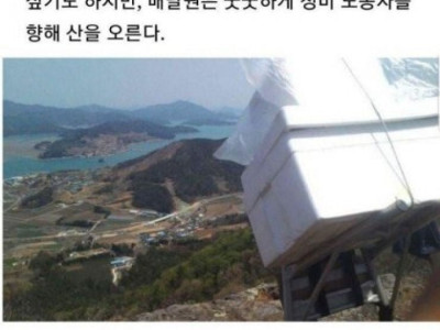 <img src=/images/menu/hot_icon2.jpg> 배달비 건당 5만원씩 받는 배달 ㄷ.jpg