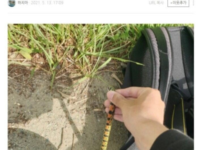 고전] 괜찮아 안 죽어.jpg