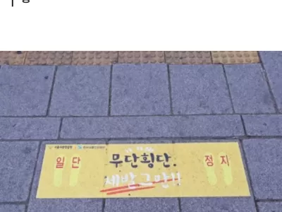 무단횡단하다 놀라서 넘어졌는데…멈춰선 운전자 일부 유죄판결