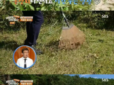 50년 동안 열리는 특별한 동창회 장소