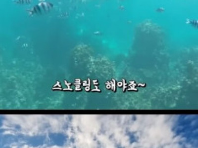 연차 안쓰고 주말에 괌 여행하는 집념의 직장인.jpg