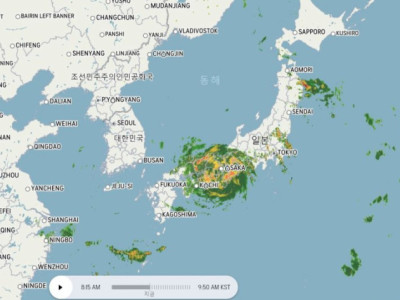 핵맞은 거 처럼 -현시간 일본