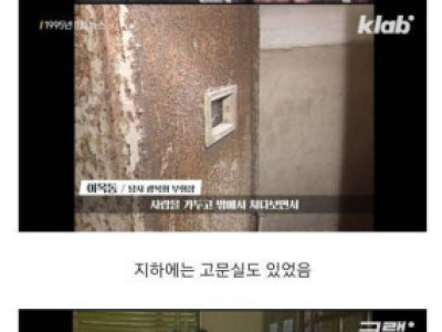 대한민국 역사상 가장 시원한 결단.jpg