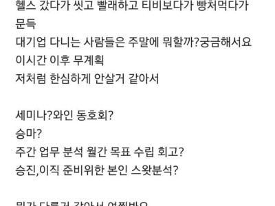대기업 다니는 2030 직장인은 주말에 뭐하세요?..JPG