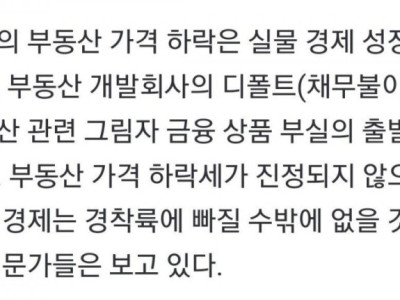 중국이 부동산 가격 하락을 싫어하는 이유