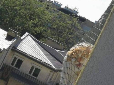 이사왔는데 옆집 주인이 상당히 까탈스러워 보임.jpg