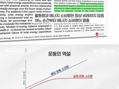 운동의 현실.jpg