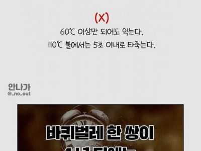 세스코가 밝힌 바선생 루머의 진실.jpg