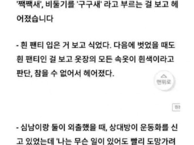일본 여성들이 이별을 결심한 이유.jpg