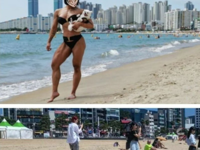 부산에 등장한 검정 비키니 누나 ㄷㄷ