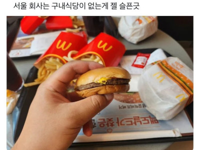 최근 맥도날드 햄버거 크기 논란.jpg