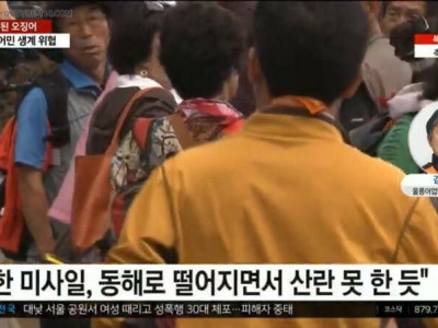 동해에 오징어가 전멸한 이유