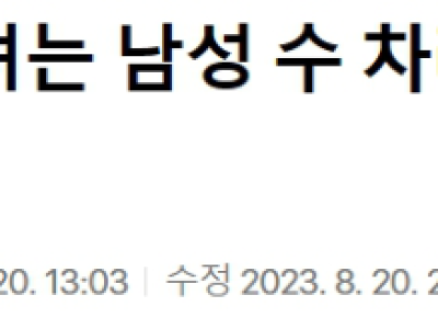 사람 고의로 친 음주운전 20대女 집유 때린 판사.jpg