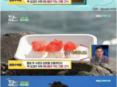제주 해녀가 추천하는 여름 특식 ㄷㄷ.jpg