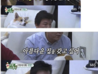 돈 많은 화려한 싱글남의 미래 ㄷ..JPG