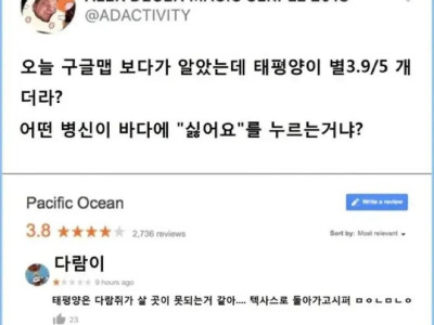 바다에 싫어요 누른 사람 정체.jpg