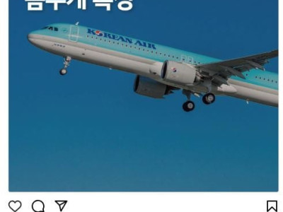 대한항공 최신근황