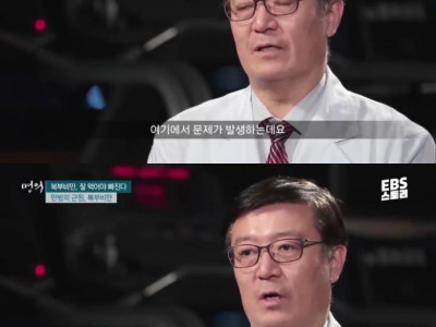 밀가루 음식이 살 찌는 이유.jpg
