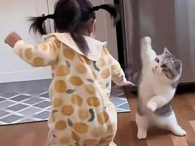 아이 있는 집에서 동물 키우면 안되는 이유 ㄷ..JPG