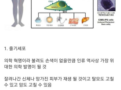 만들면 인류를 완전히 바꿀 발명품 3가지.jpg