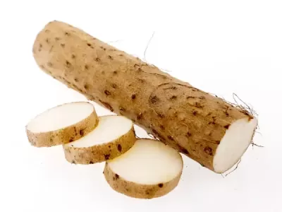 밭에서 캐낸 수상한 마.jpg