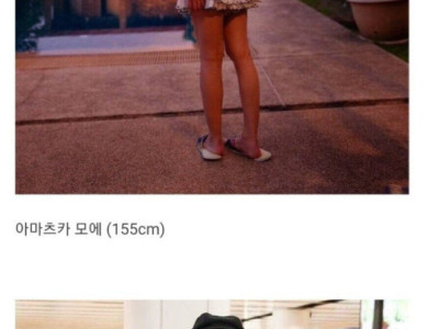 생각보다 키가 작은 분들