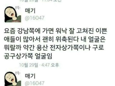 레전드 트위터 누나