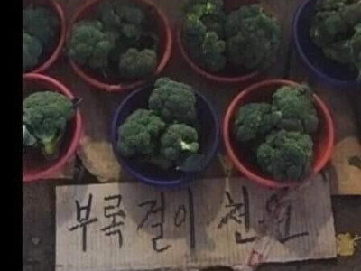 한글로 쓰기 어려운 채소.jpg