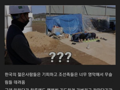 젊은사람들 없는 요즘 노가다 근황