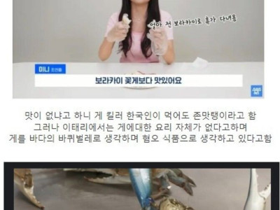 이탈리아 청게 근황.jpg