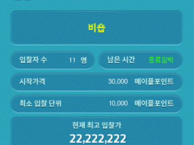 메이플 닉네임 경매 압도적 최고가 경신 및 역대가 리스트