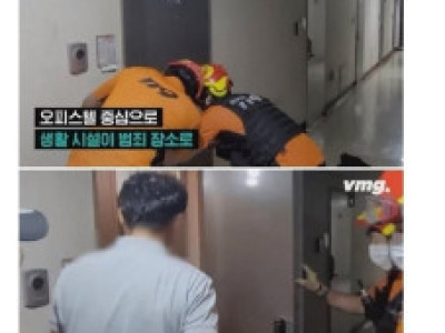진화하는 MZ세대 조폭들 ㄷ