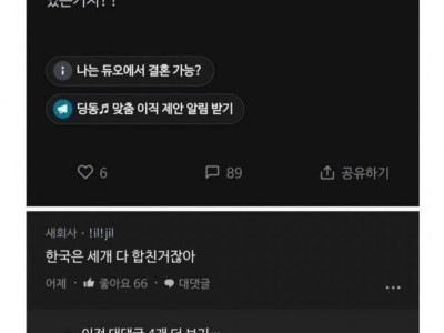 블라형들이 생각하는 국제결혼ㄷ