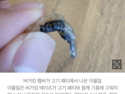 질겨서 안씹힌 유명 햄버거…테이프와 고기 함께 구워