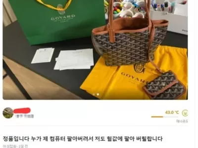 조만간 싸움일어날 당근 매물