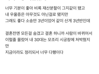 블라] 드디어 나르시시스트 와이프랑 이혼했다..jpg