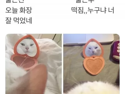 출근 전후