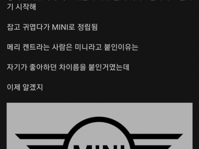 재밌게 정착된 영어단어