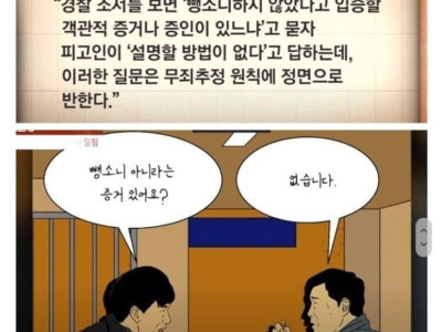 검경의 무리한 수사를 개탄한 판사