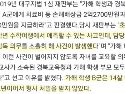 화살 쏴 친구 실명시킨 초등생…교사도 책임, 2억3200만원 배상