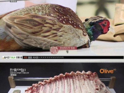 한식대첩 강원도식재료 레전드편.jpg