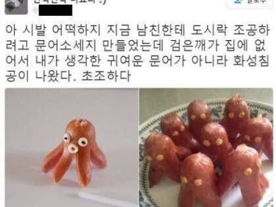 남친한테 주려는 도시락을 망쳤다.jpg