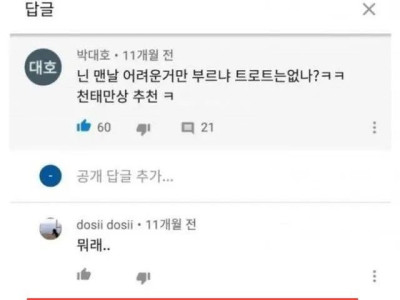 유튜버 악플러들의 실체
